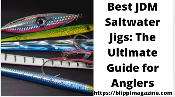 Best JDM Saltwater Jigs: The Ultimate Guide for Anglers